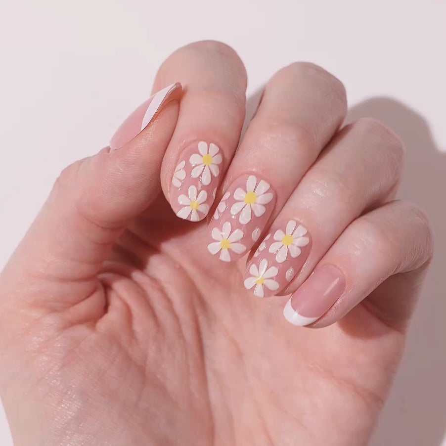 Daisy Daydream - Oval Sustainable Nails