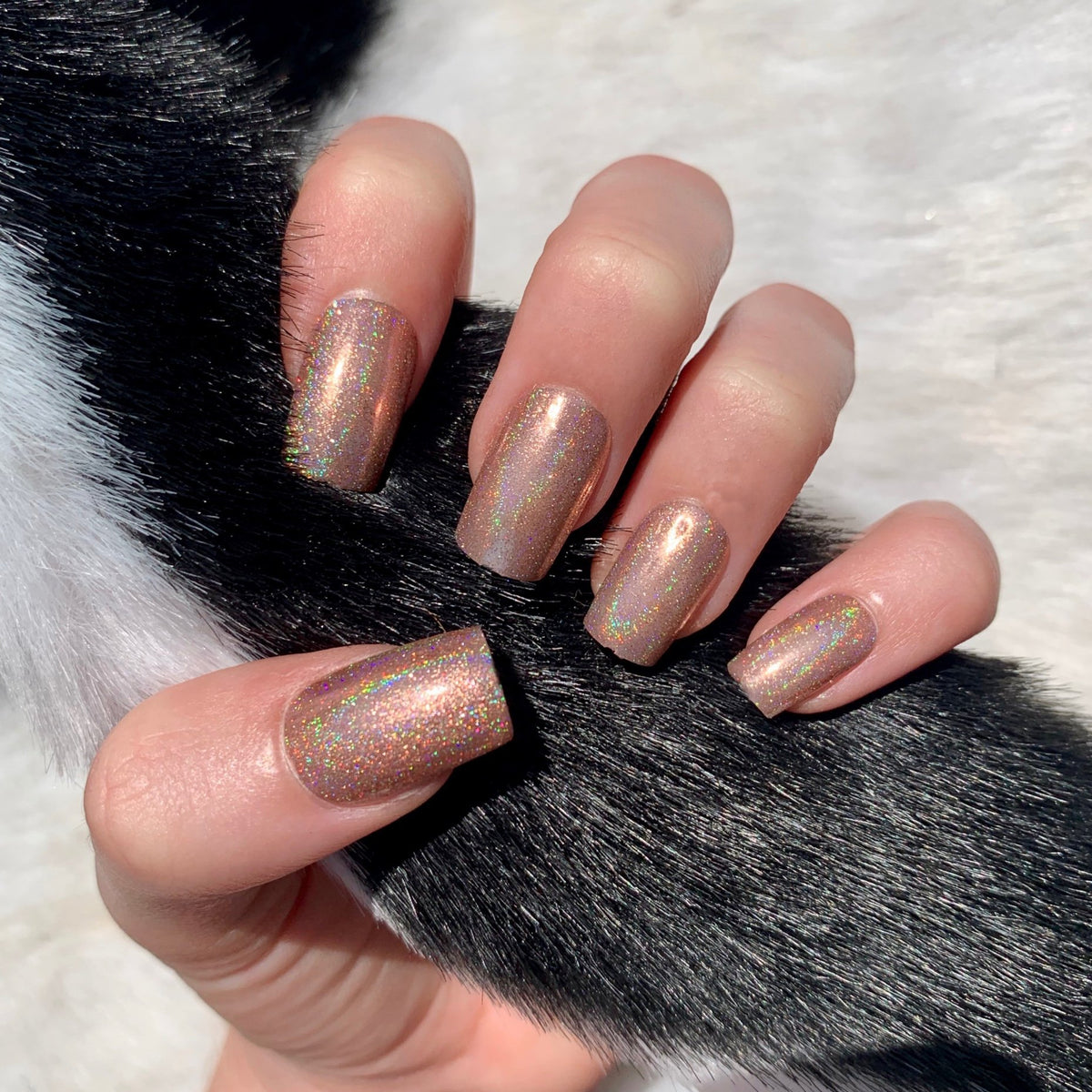 warm and neutral shade   