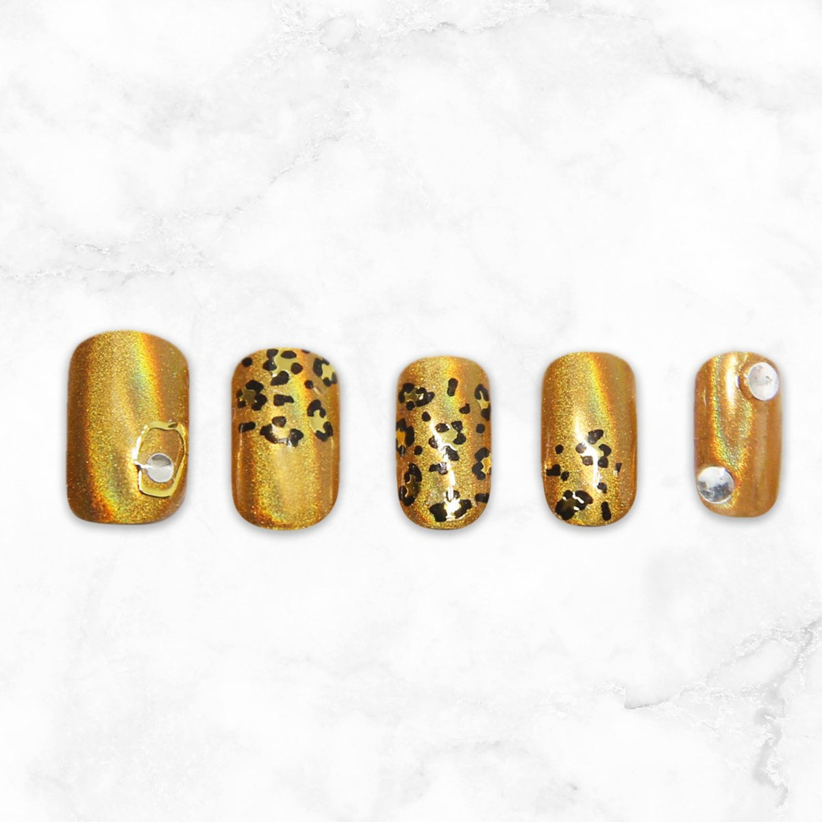 Leopardo